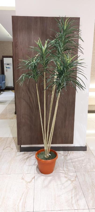 همم للوحدات السكنية - الرحيلي Jeddah Al Kura Exteriör bild